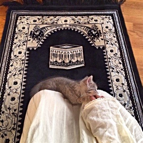 Above all, ask Allah to help you and guide you, and always do wudu and recite dhikr before you go to sleep, and cleanse the house of images and other things that prevent the angels from entering. . Can you sleep on a prayer mat